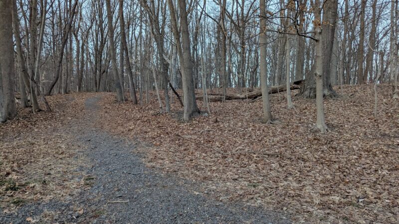 Alonzo F Bonsal Wildlife Preserve - Montclair, NJ