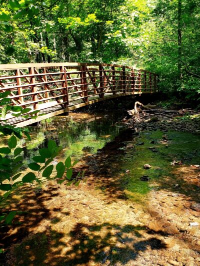 Alonzo F Bonsal Wildlife Preserve - Montclair, NJ