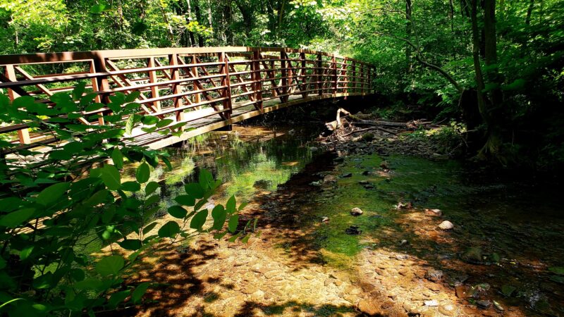 Alonzo F Bonsal Wildlife Preserve - Montclair, NJ