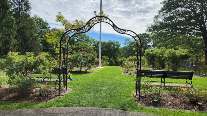 Brookdale Park Rose Garden - Montclair, NJ