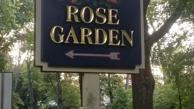 Brookdale Park Rose Garden - Montclair, NJ