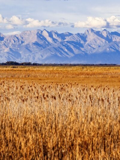Monte Vista National Wildlife Refuge - Monte Vista, CO