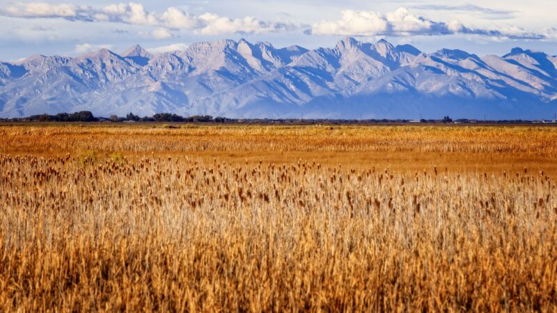 Monte Vista National Wildlife Refuge - Monte Vista, CO