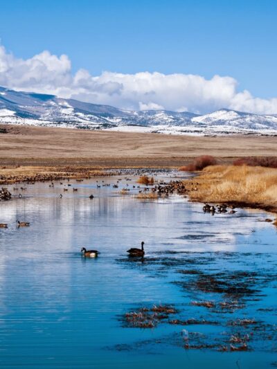 Monte Vista National Wildlife Refuge - Monte Vista, CO