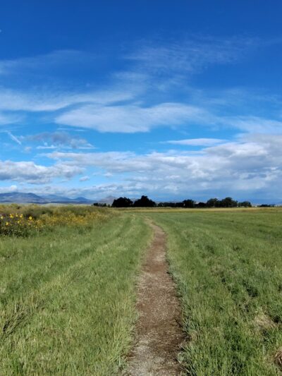 Monte Vista Wetlands Trail - Monte Vista, CO