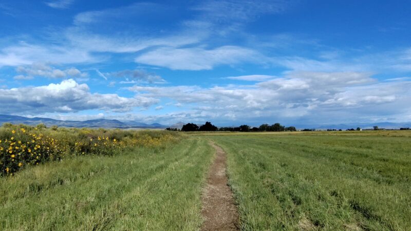 Monte Vista Wetlands Trail - Monte Vista, CO