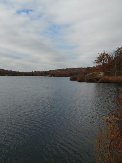 Dog Park - Montebello, NY