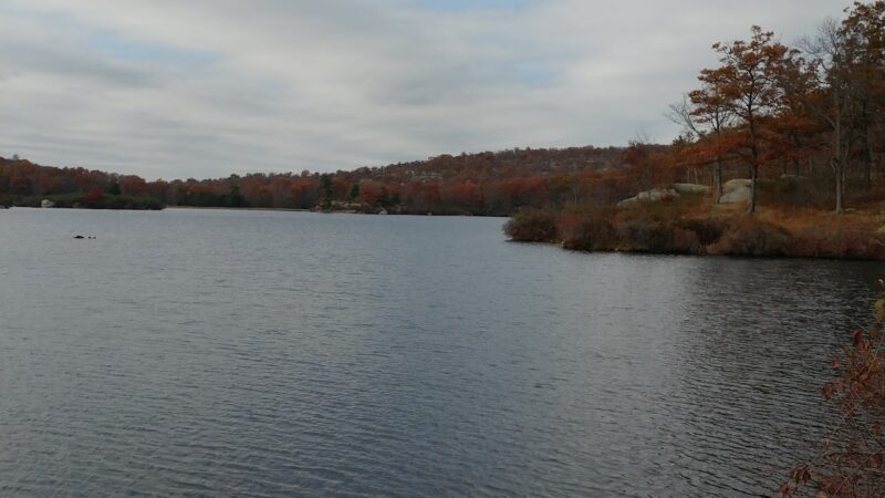 Dog Park - Montebello, NY