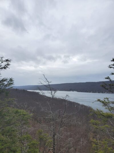 Dog Park - Montebello, NY