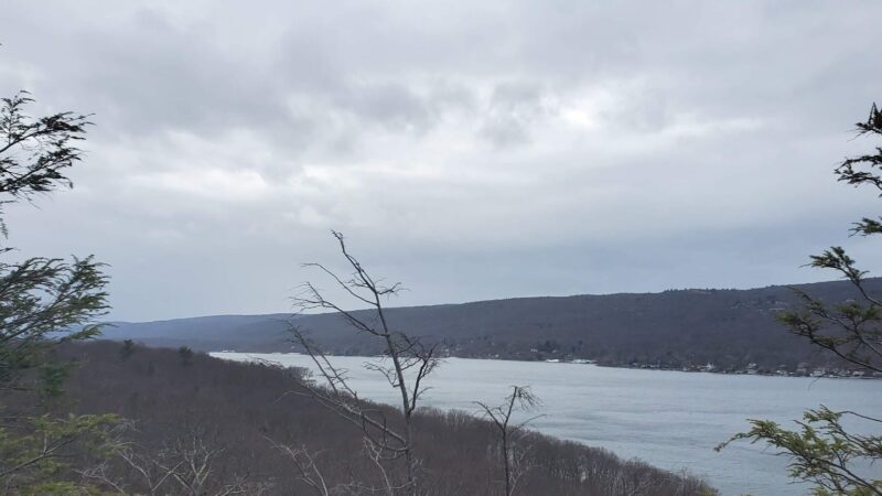 Dog Park - Montebello, NY