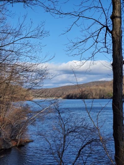 Dog Park - Montebello, NY