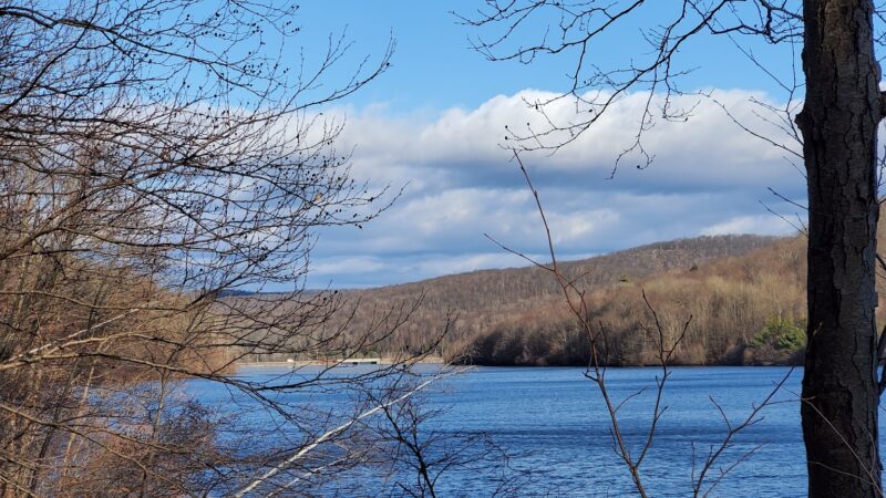 Dog Park - Montebello, NY