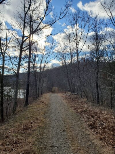 Dog Park - Montebello, NY