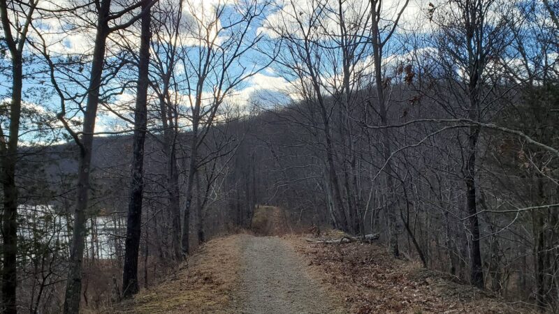 Dog Park - Montebello, NY