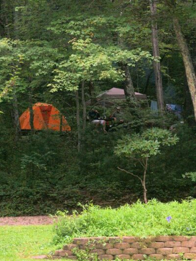 Montebello Camping & Fishing Resort - Montebello, VA
