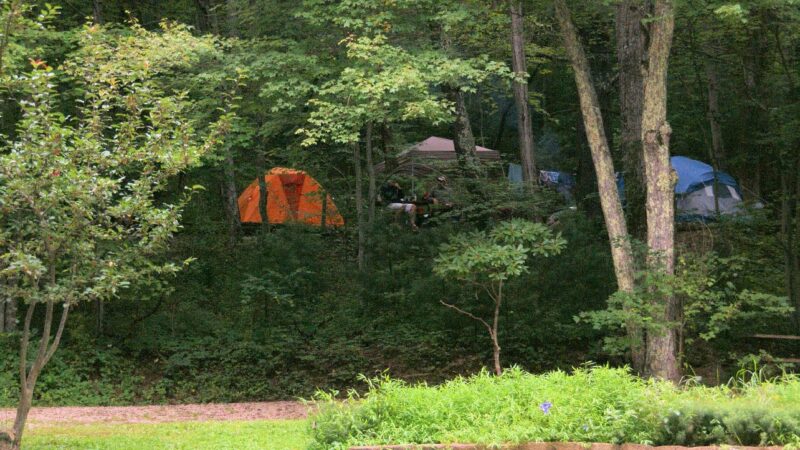Montebello Camping & Fishing Resort - Montebello, VA