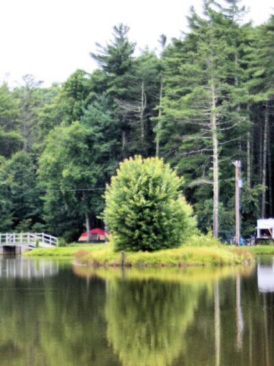 Montebello Camping & Fishing Resort - Montebello, VA