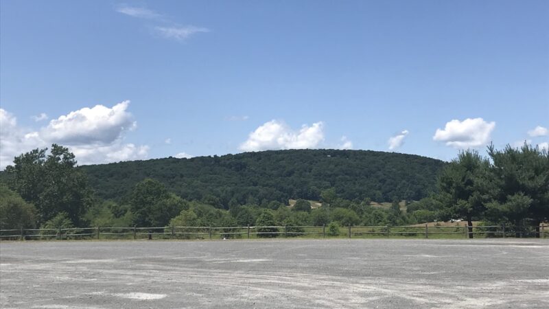 Benedict Farm Park - Montgomery, NY