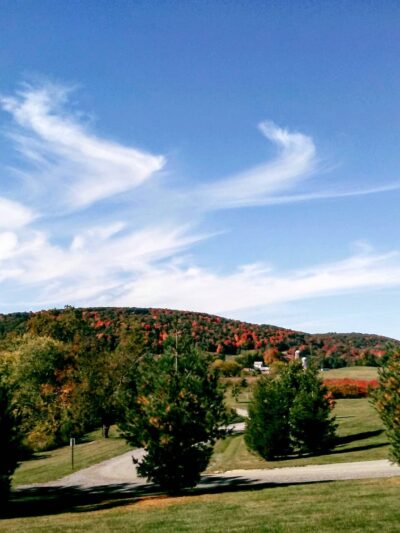 Benedict Farm Park - Montgomery, NY