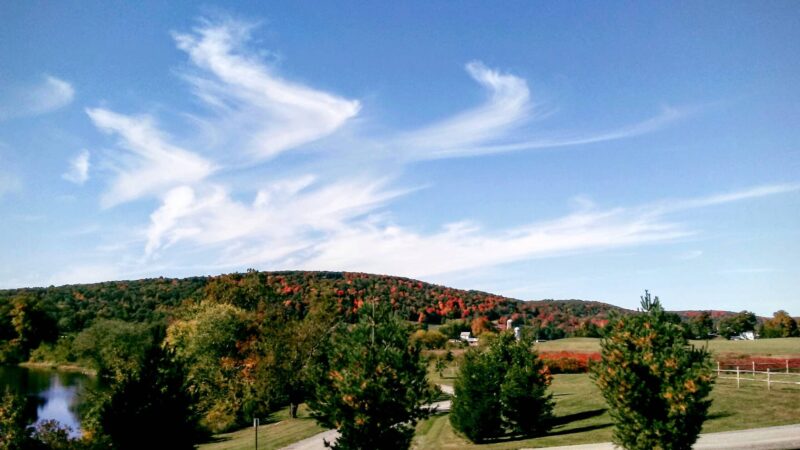 Benedict Farm Park - Montgomery, NY