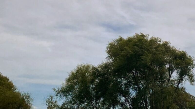 Benedict Farm Park - Montgomery, NY