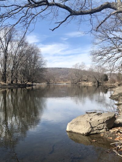 Benedict Farm Park - Montgomery, NY