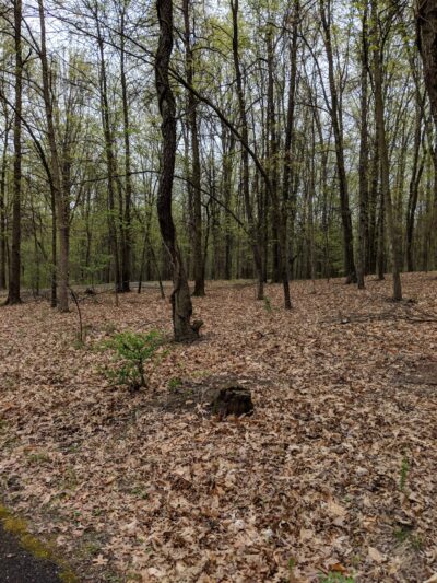 Montgomery Pleasure Ground Park - Montgomery, NY