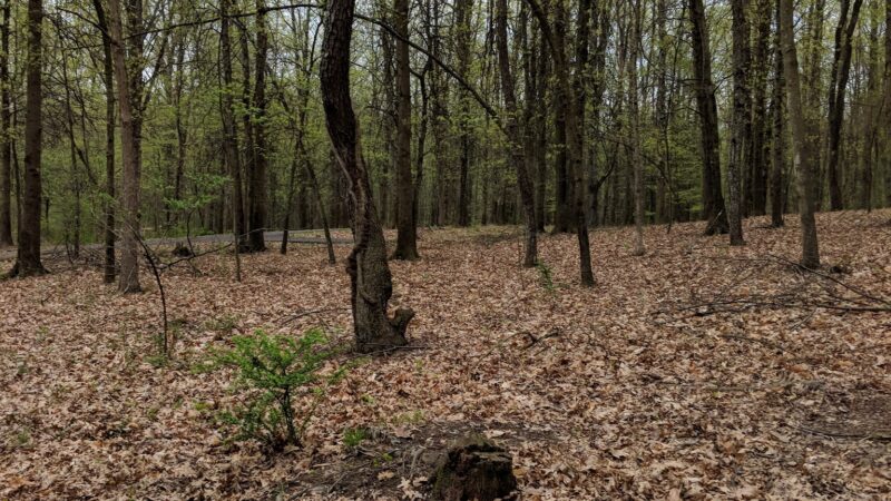 Montgomery Pleasure Ground Park - Montgomery, NY