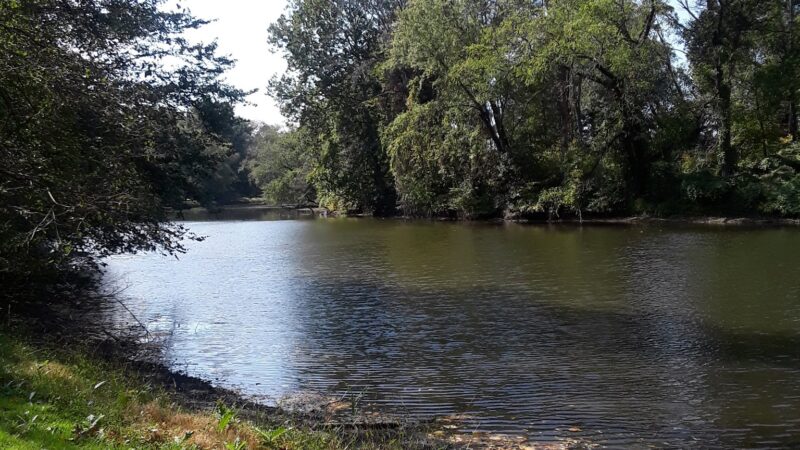 Montgomery Pleasure Ground Park - Montgomery, NY