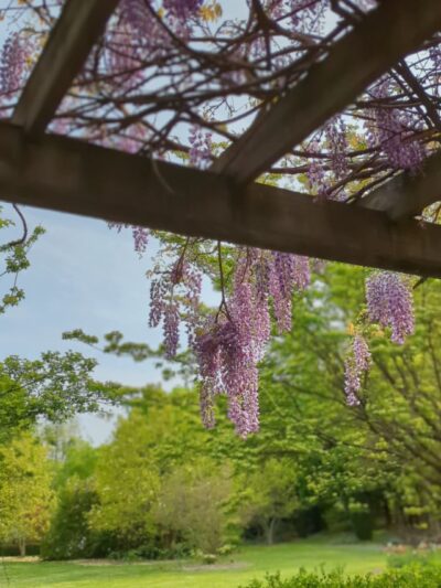 Thomas Bull Memorial Park - Montgomery, NY