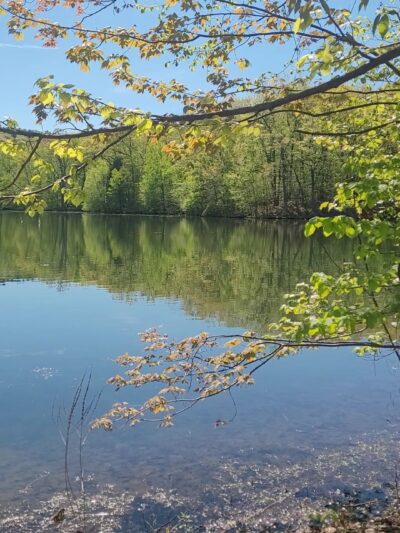 Winding Hills County Park - Montgomery, NY