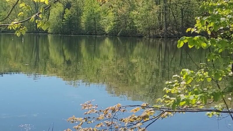 Winding Hills County Park - Montgomery, NY
