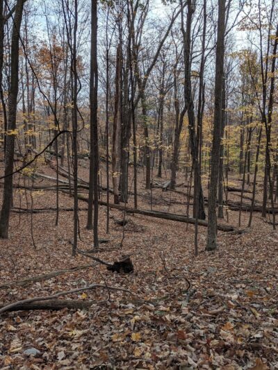 Winding Hills County Park - Montgomery, NY