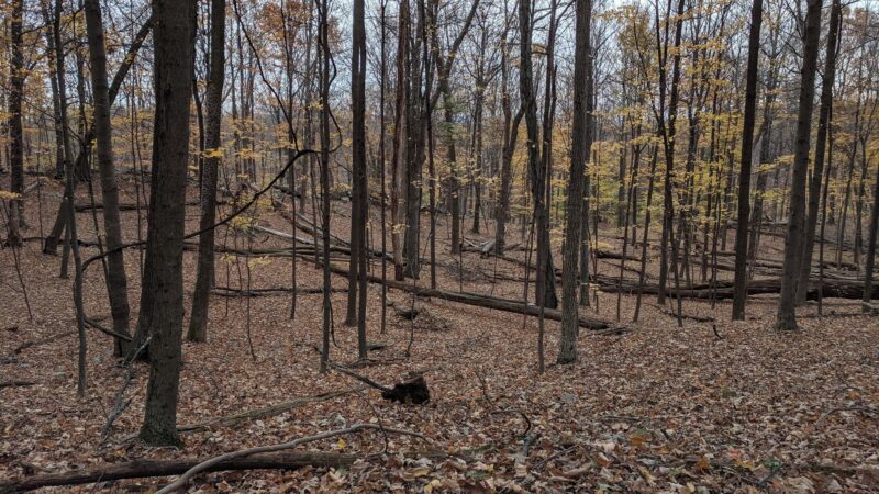 Winding Hills County Park - Montgomery, NY