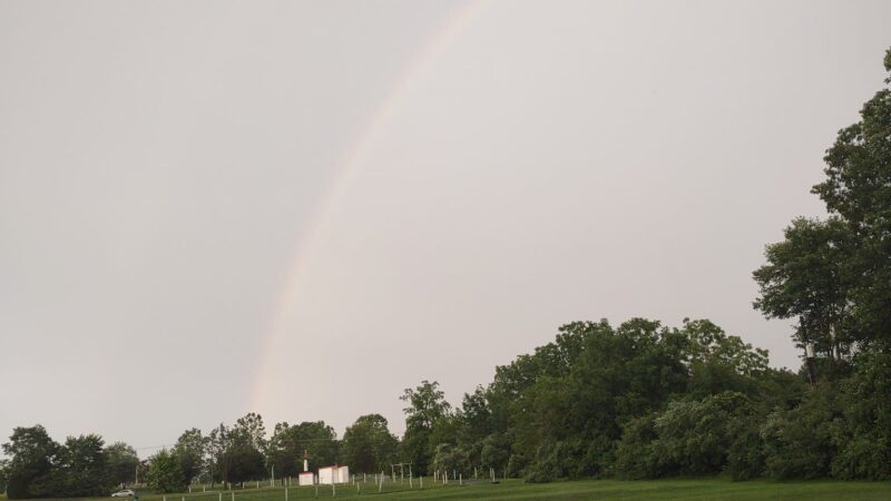 Pike Drive In Theatre - Montgomery, PA