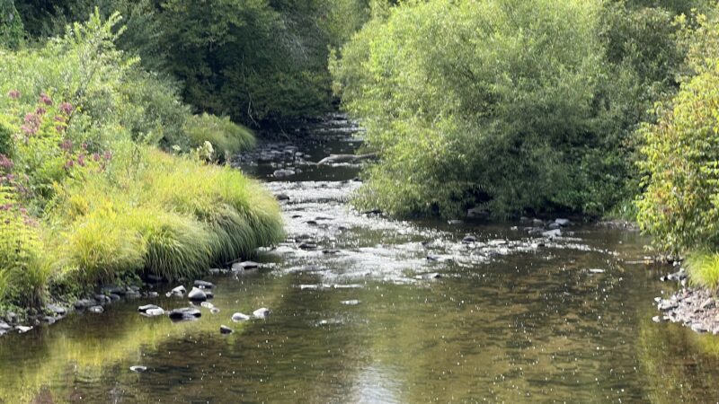 East Mongaup River Park - Monticello, NY