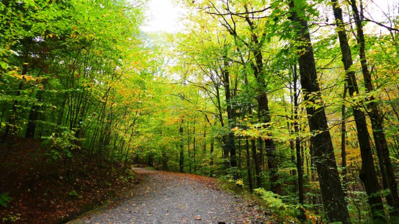 Hubbard Park - Montpelier, VT