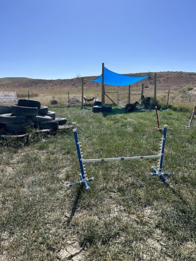 Elite Doggy Retreat Playzone - Montrose, CO