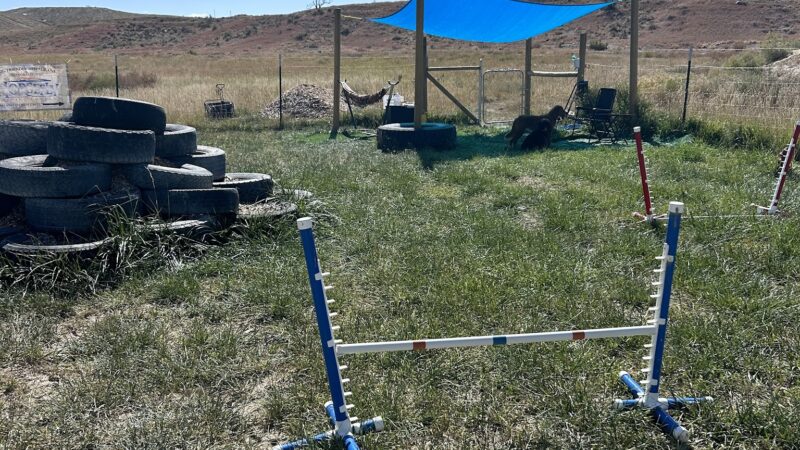 Elite Doggy Retreat Playzone - Montrose, CO