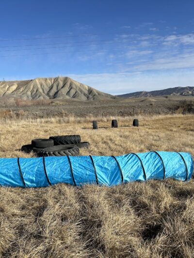 Elite Doggy Retreat Playzone - Montrose, CO