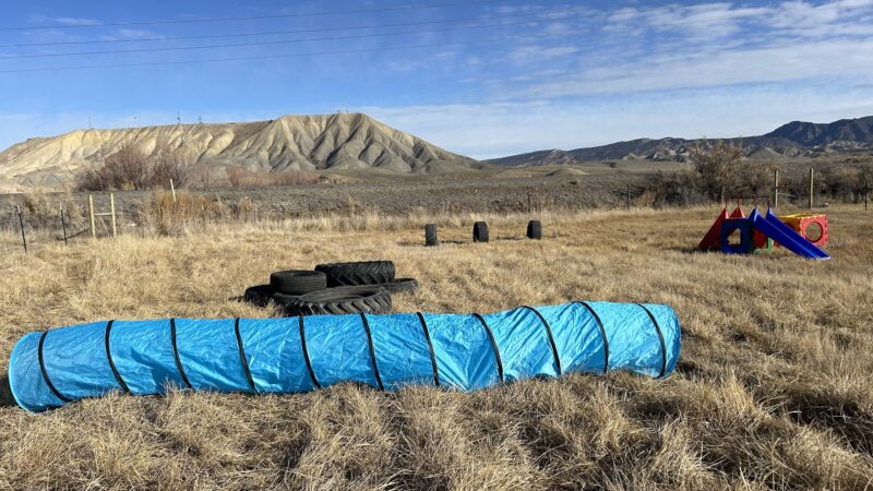 Elite Doggy Retreat Playzone - Montrose, CO