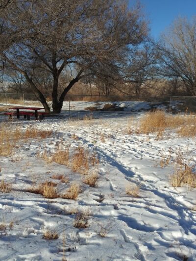 Old Montrose Dog Park - Montrose, CO