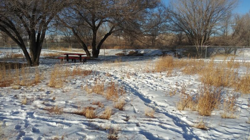 Old Montrose Dog Park - Montrose, CO