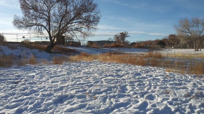 Old Montrose Dog Park - Montrose, CO