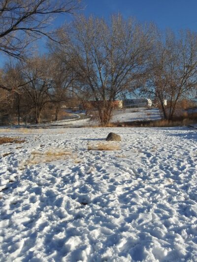Old Montrose Dog Park - Montrose, CO
