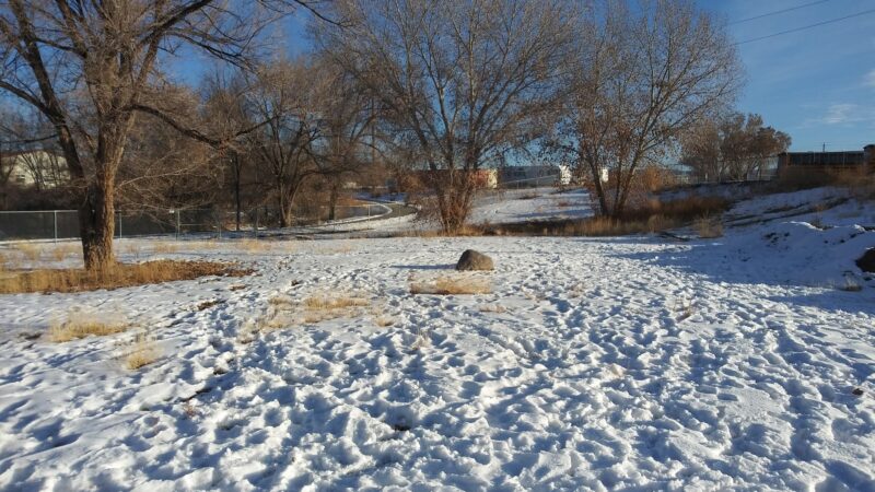 Old Montrose Dog Park - Montrose, CO