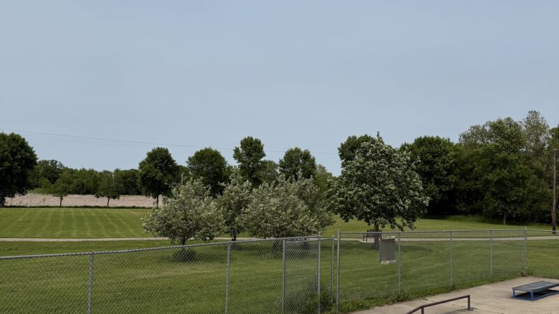 Lent Park - Montrose, MN