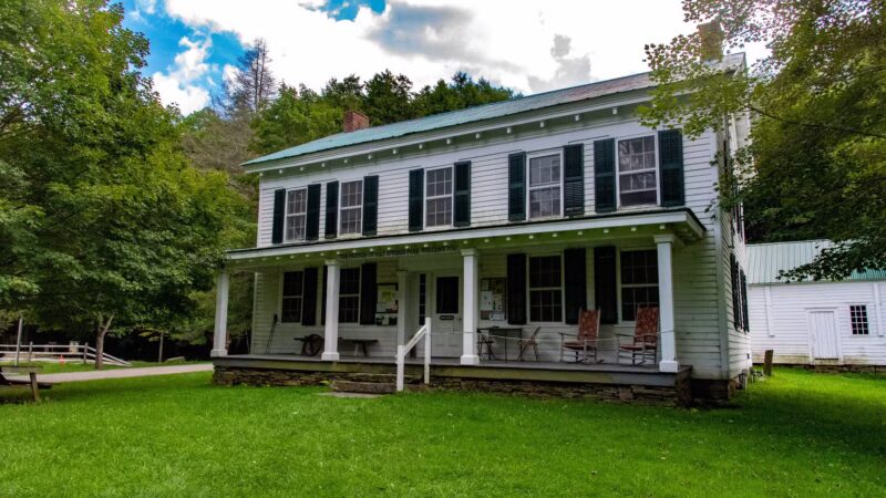 Salt Springs State Park - Montrose, PA