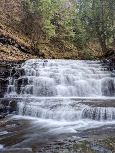 Salt Springs State Park - Montrose, PA