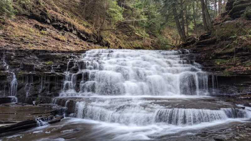 Salt Springs State Park - Montrose, PA